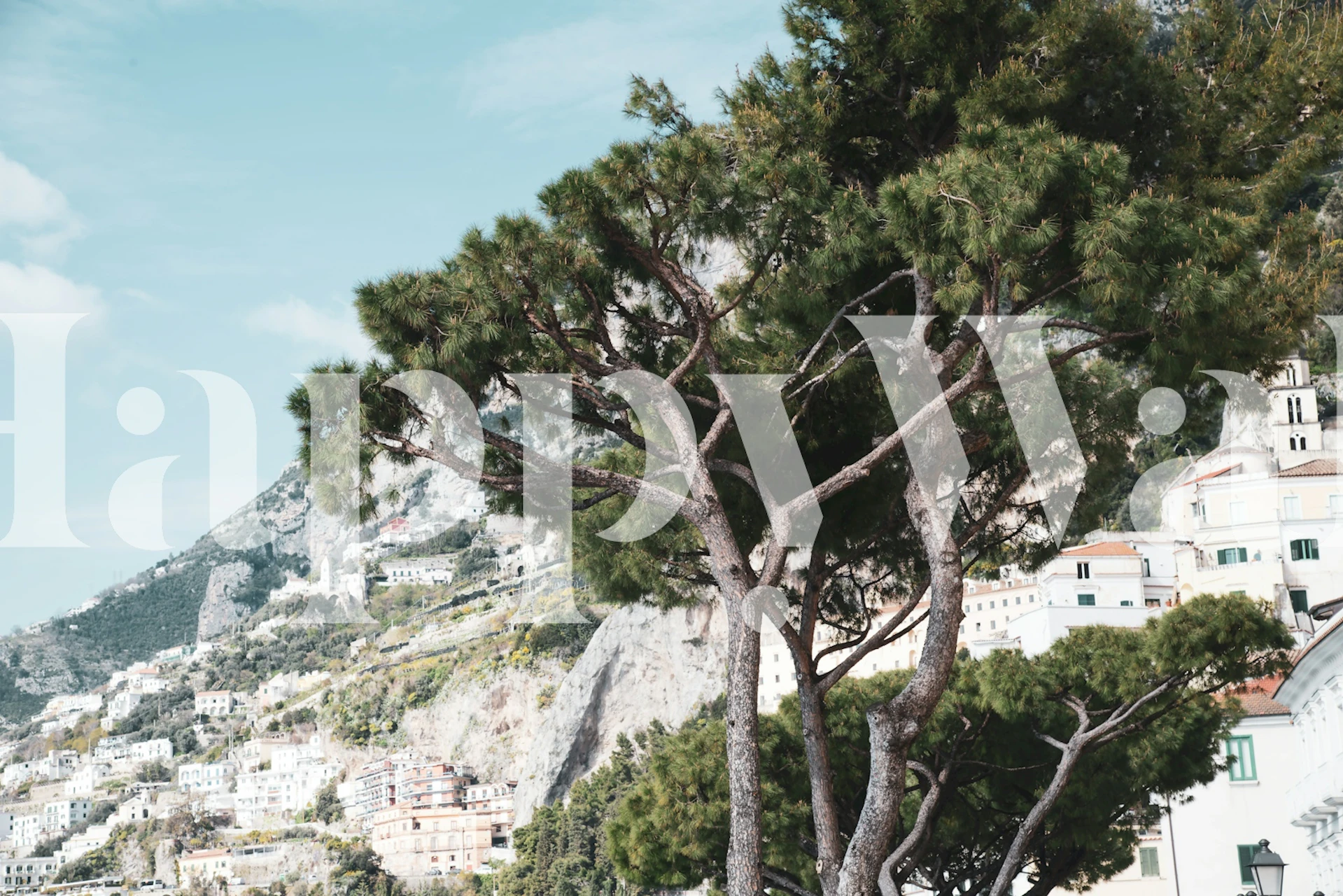 Carta da parati Bella Amalfi Pine Tree 1 in una stanza