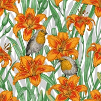 Robins and lilly flowers 2 carta da parati