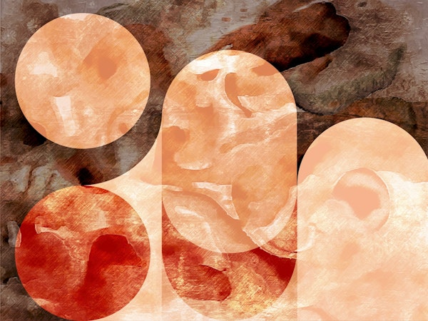 Earthy Arches and Circles