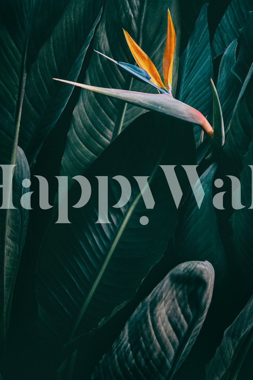 Tapeta Bird of Paradise v místnosti