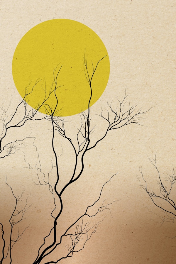 Sunset in Japan Okinawa