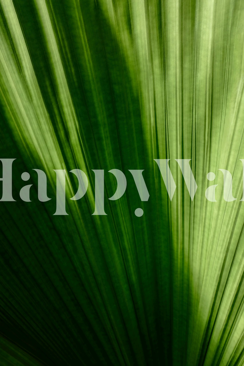 Close-up of green palm leaves with lines and texture wallpaper