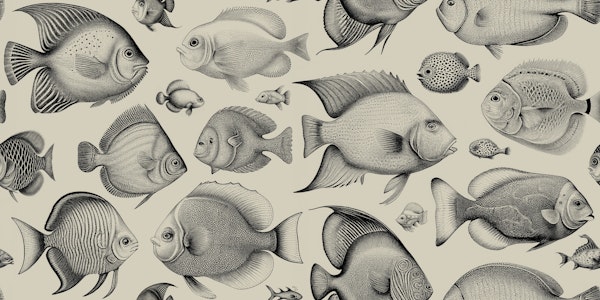 School of Uncanny Fish - Sand & Black