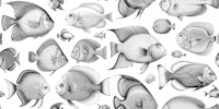 School of Uncanny Fish - Black & White tapetit