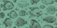 School of Uncanny Fish - Arsenic & Soot