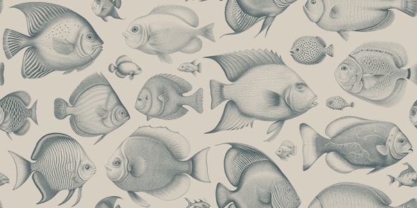 School of Uncanny Fish - Teal & Sand