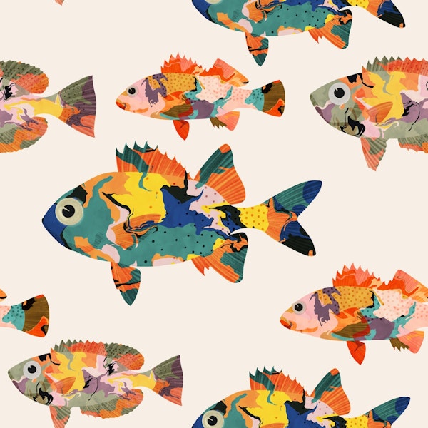 Tropical fish
