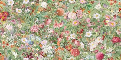 Pattern
