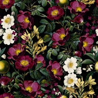 Vintage Midnight Botanical Rose Garden 1 ταπετσαρία