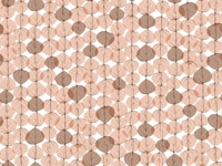 Cottonwood Leaves Botanical in peach bisque papiers peint