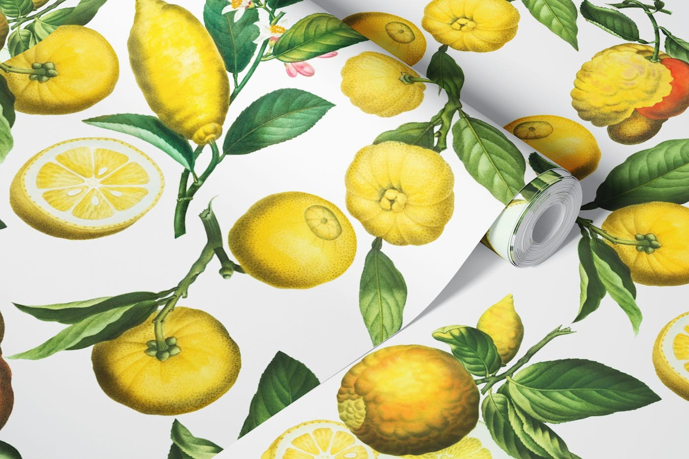 Vintage Exotic Lemons Garden wallpaper roll