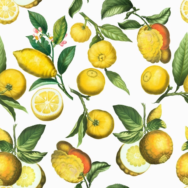 Vintage Exotic Lemons Garden