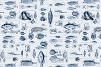 Fish And Sea Life Illustration Blue ταπετσαρία