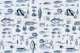 Fish And Sea Life Illustration Blue