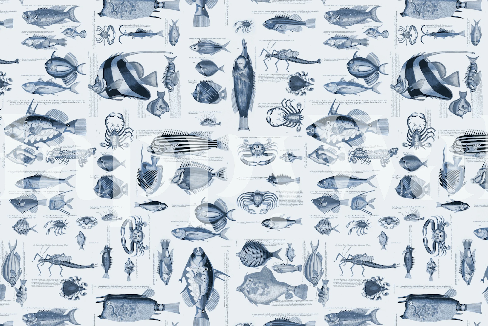 Fish and sea life illustration tapet i et rum