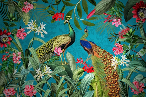 Blue Peacock Exotic Night Garden