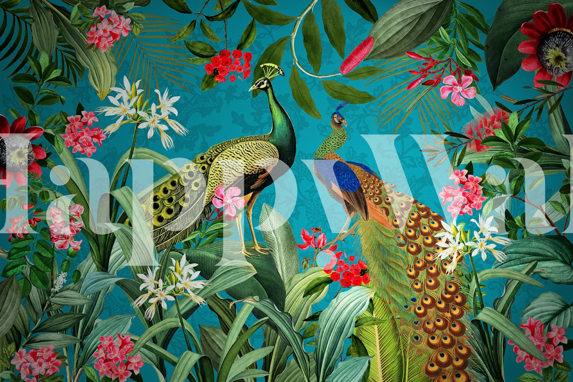 Peacock birds among tropical flowers and leaves in blue wallpaper
