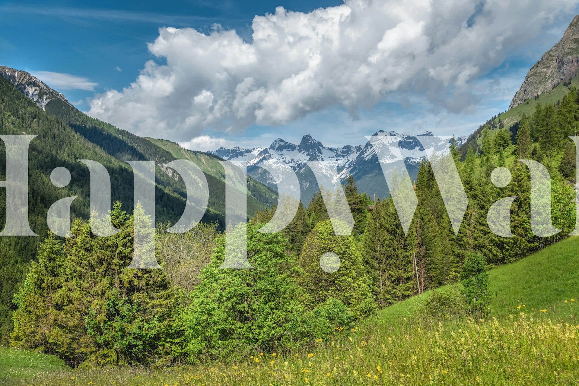 Hantenjoch Austria scenic wallpaper in a room