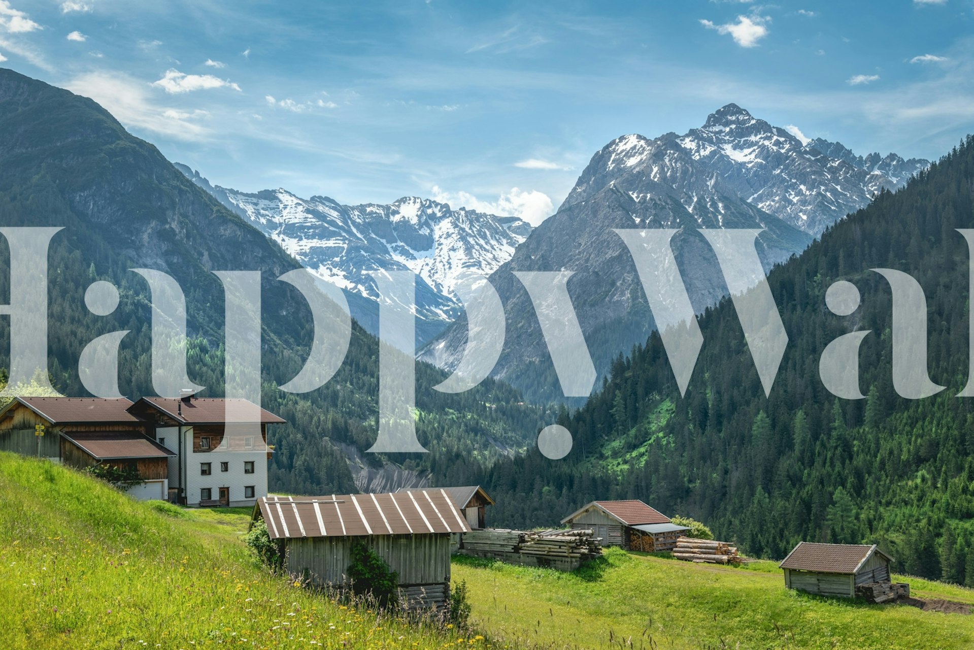 Austrian mountain wallpaper in a room