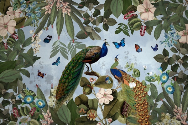 Tropical Peacocks Night Jungle