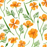 California poppies on off white tapetit