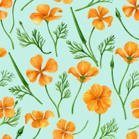 California poppiese on soft blue tapetit