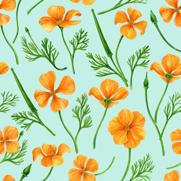 California poppiese on soft blue