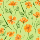 California poppies on light green
