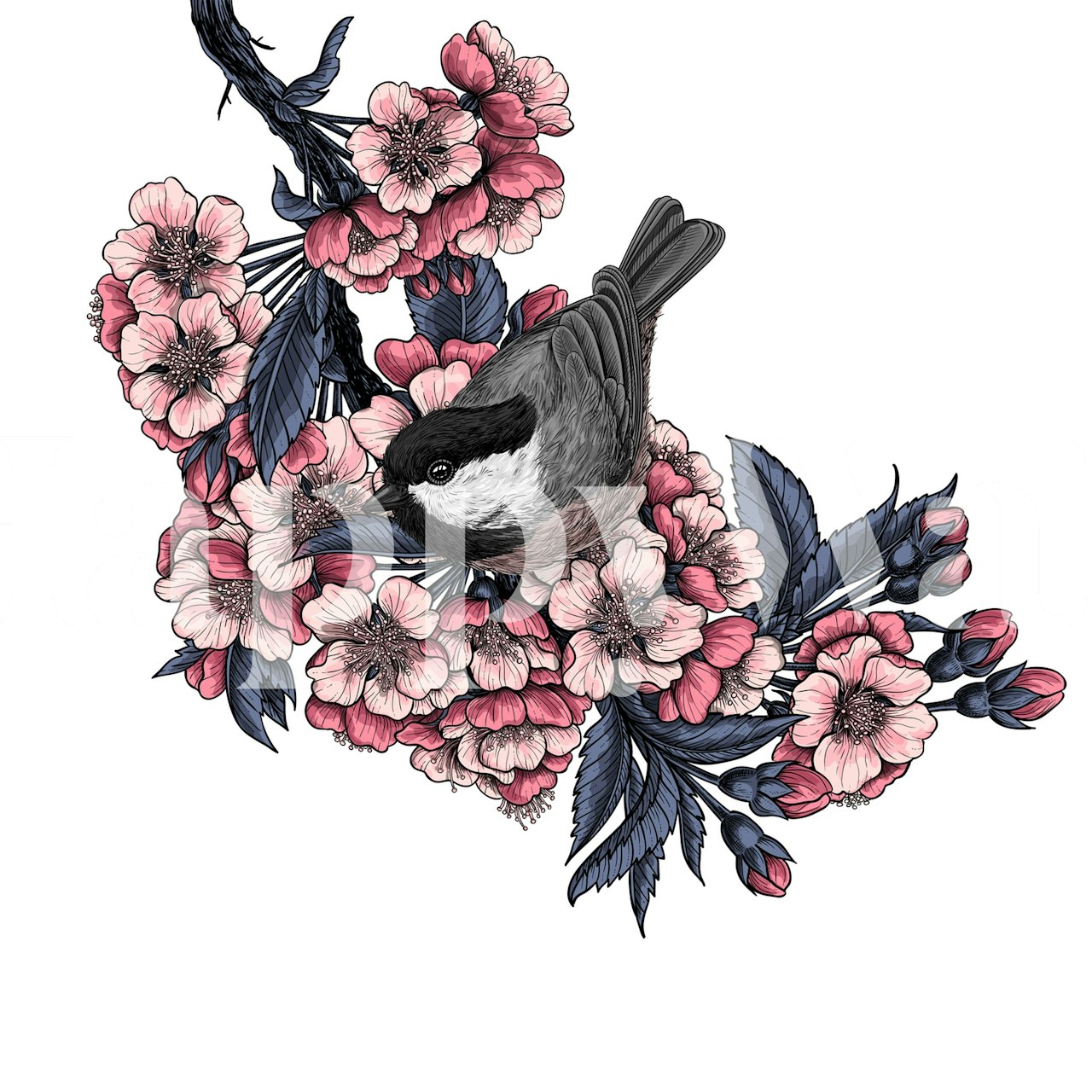 Chickadee on a cherry branch tapeta