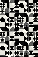 Mod Geometric Shapes & Lines - White Black behang