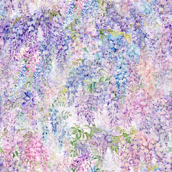 Blooming Wisteria 1