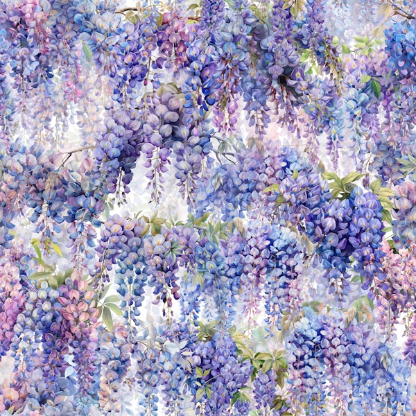 Blue Wisteria on White
