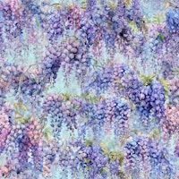 Blue Wisteria on Light Teal tapete