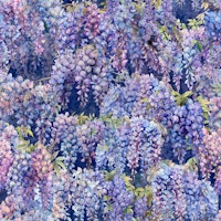 Blue Wisteria on Navy ταπετσαρία