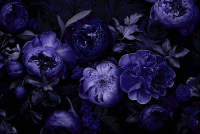 Τοιχογραφία