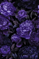 Moody Baroque Velveteen Flowers Plum Blue ταπετσαρία