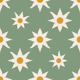 Farmhouse Star Floral Sage
