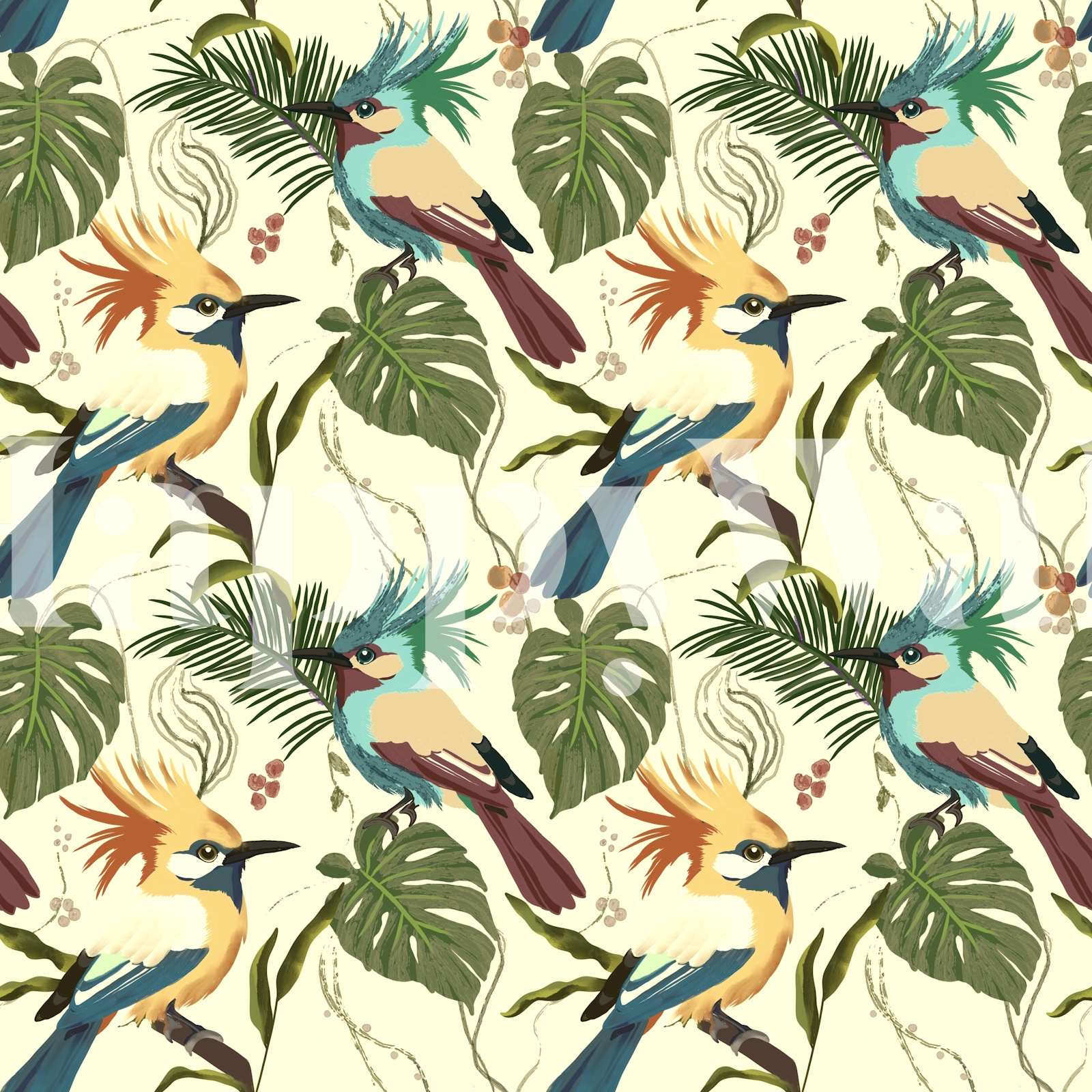 Tropical Birds of Paradise Wallpaper