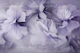 Floral Romance Memories Pastel Lilac