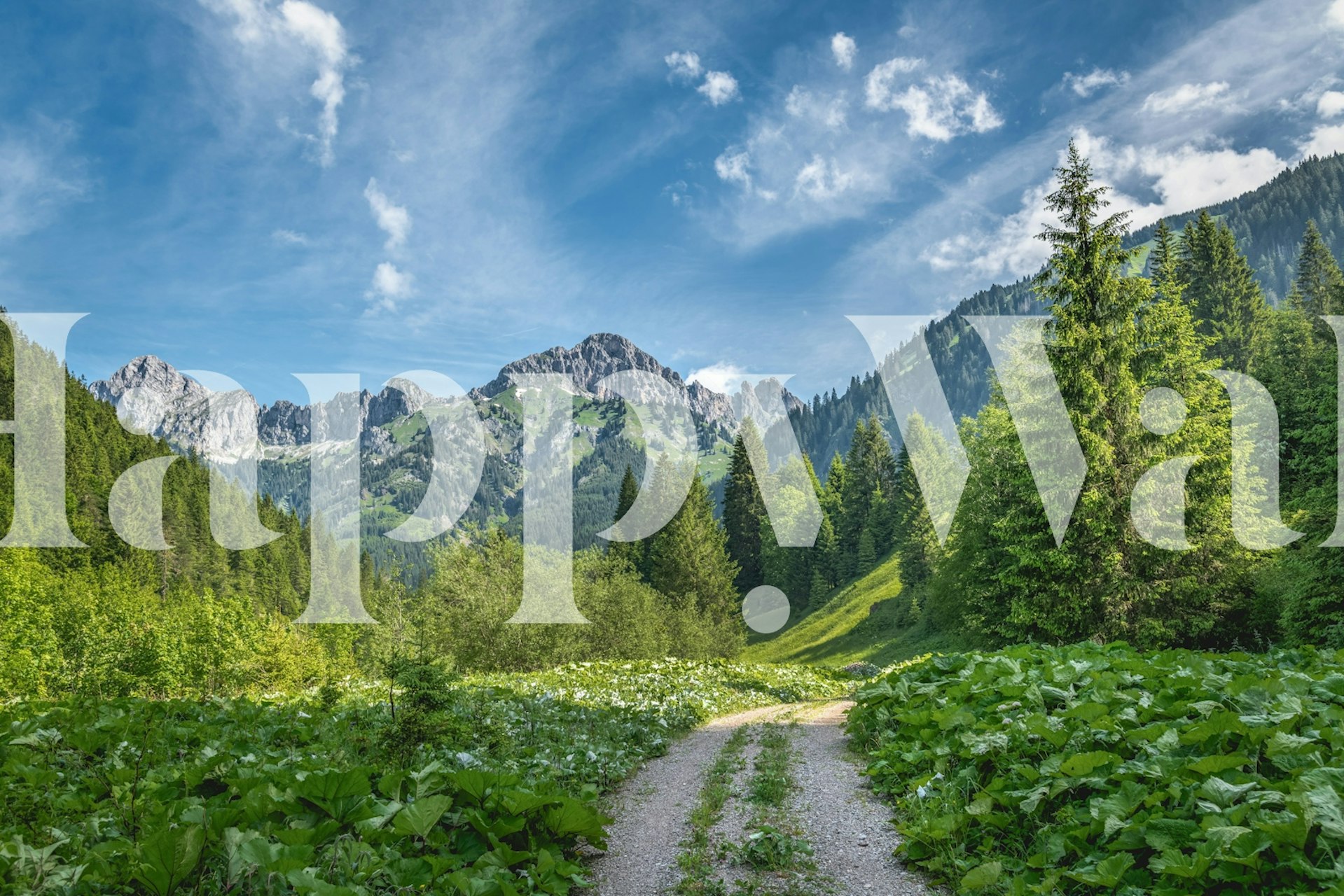 Tannheimer Mountain-tapet vist i et rum