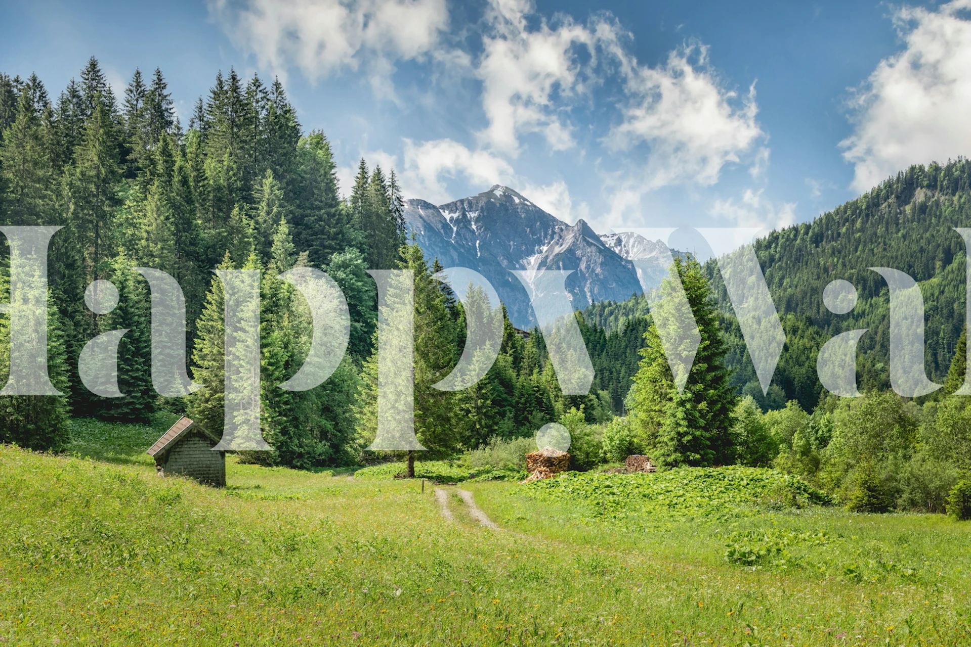 Summertime Alps tapetdesign i et rum