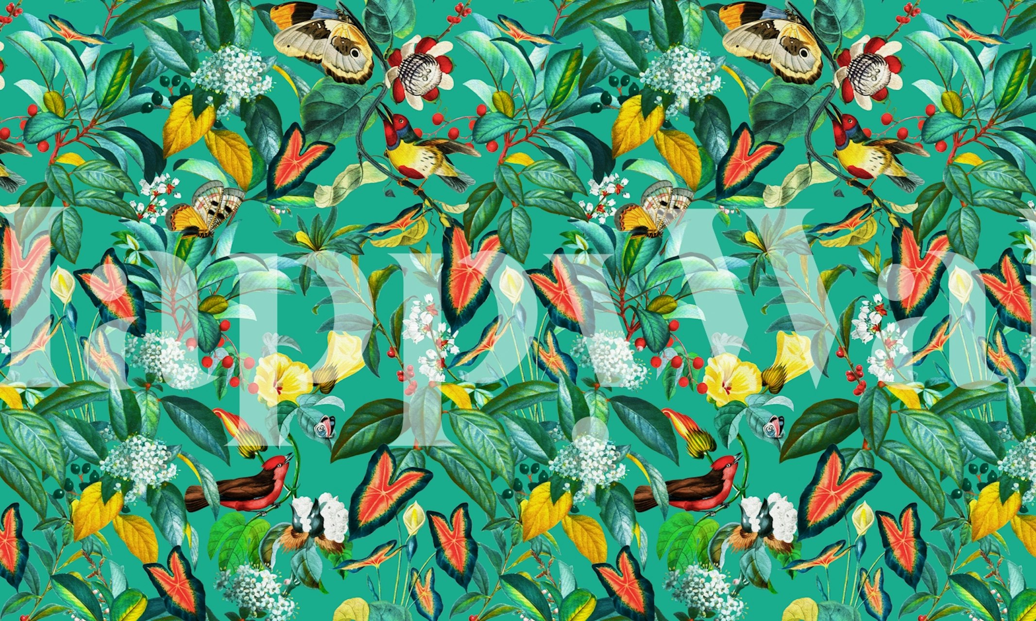 Colorful tropical birds and flowers on green background wallpaper