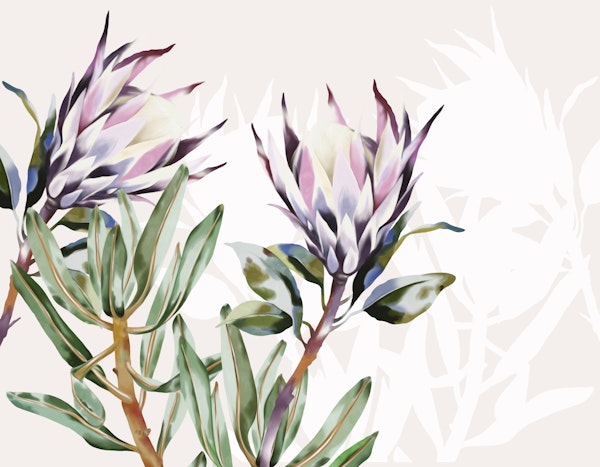 Large proteas in nature