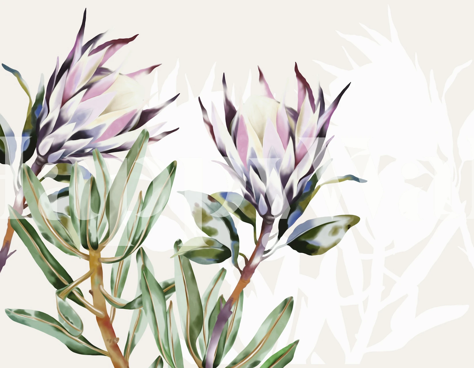 Elegant large protea flowers wall mural on a neutral background