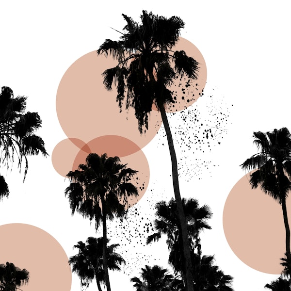 Simple palm trees landscape BW