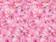 Koi Pond Fantasy Pink
