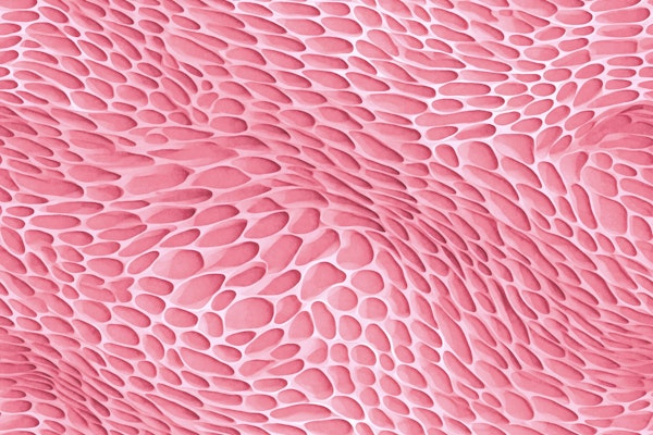 Intricate Organic Coral Texture Pink
