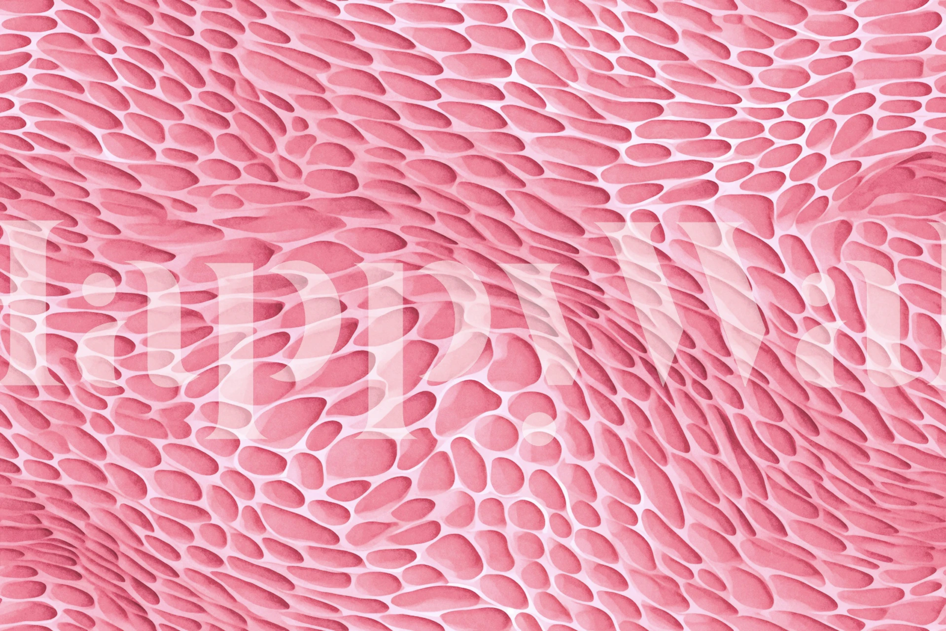 Pink coral texture wallpaper in a room setting