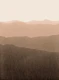 gradient landscape neutral