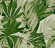 Greenery Tropical Leaves